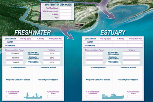 Mercury in Marine Ecosystems Poster Detail 1