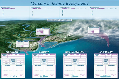 Mercury in Marine Ecosystems